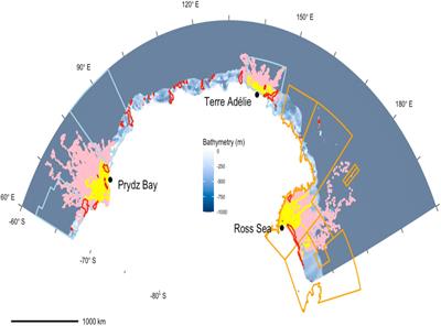 Regional Variation in Winter Foraging Strategies by Weddell Seals in Eastern Antarctica and the Ross Sea